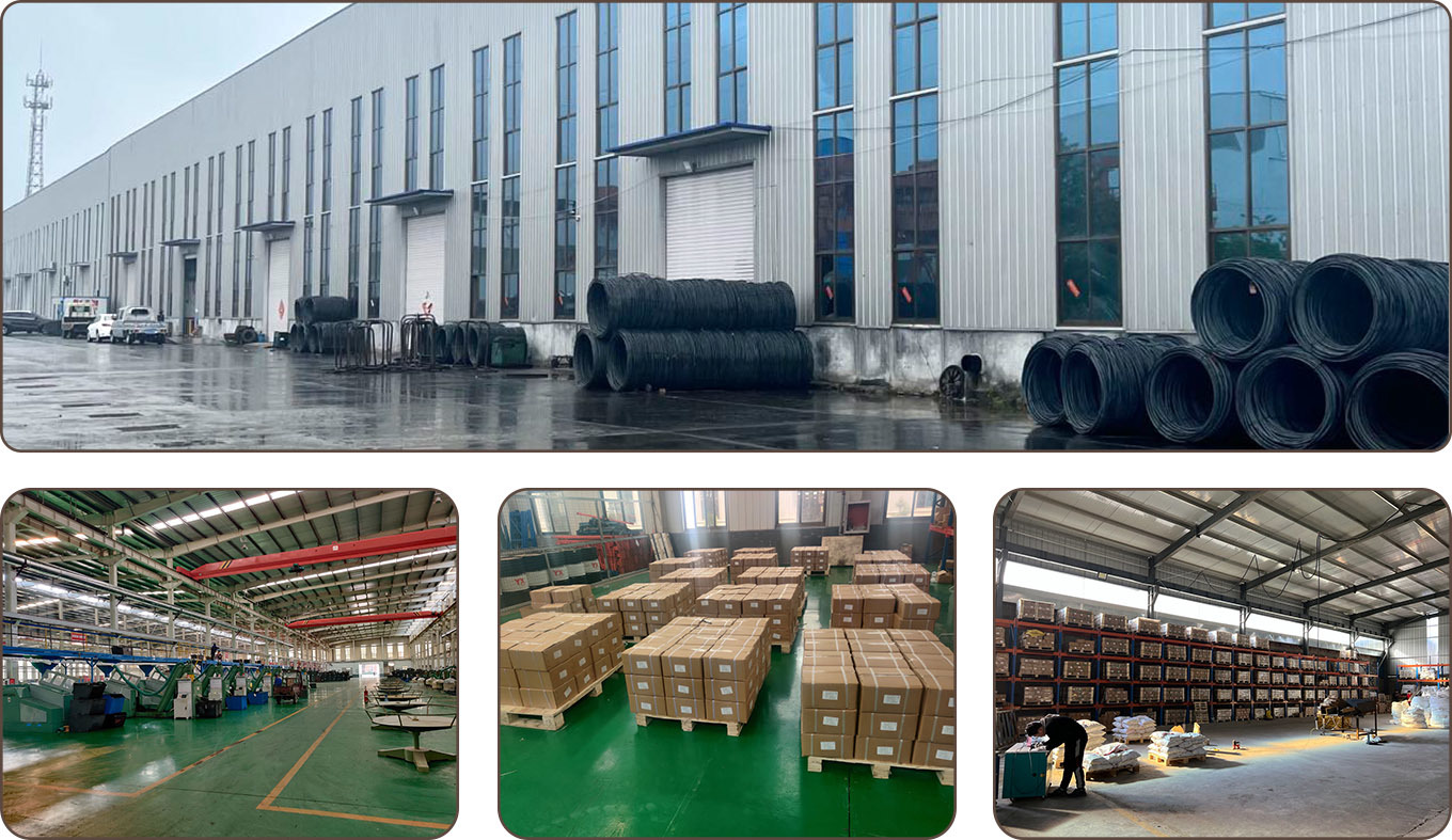DIN6798 Tooth Lock Washer-Hebei Chengyi Engineering Materials Co