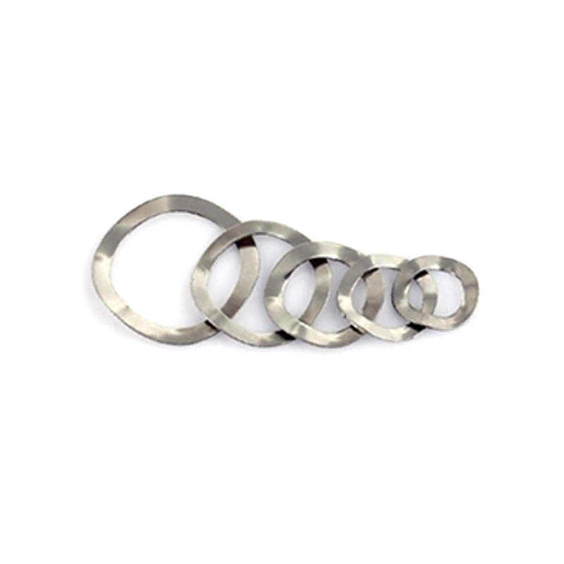 Stainless Steel A2 A4 SS201 SS304 SS316 DIN137 DIN42013 Wave Washers