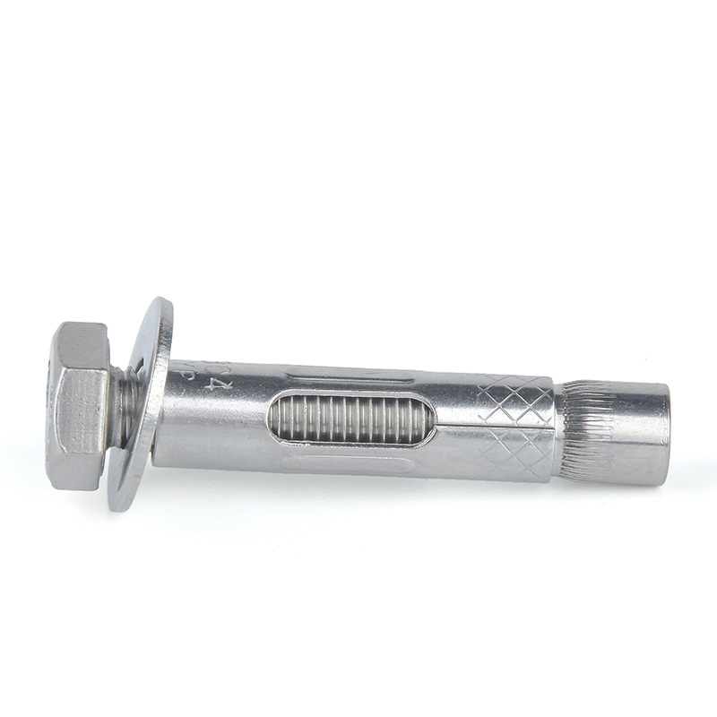 Stainless Steel A2 A4 SS304 SS316 SS201 Hex Nut Sleeve Anchor Expansion Bolt