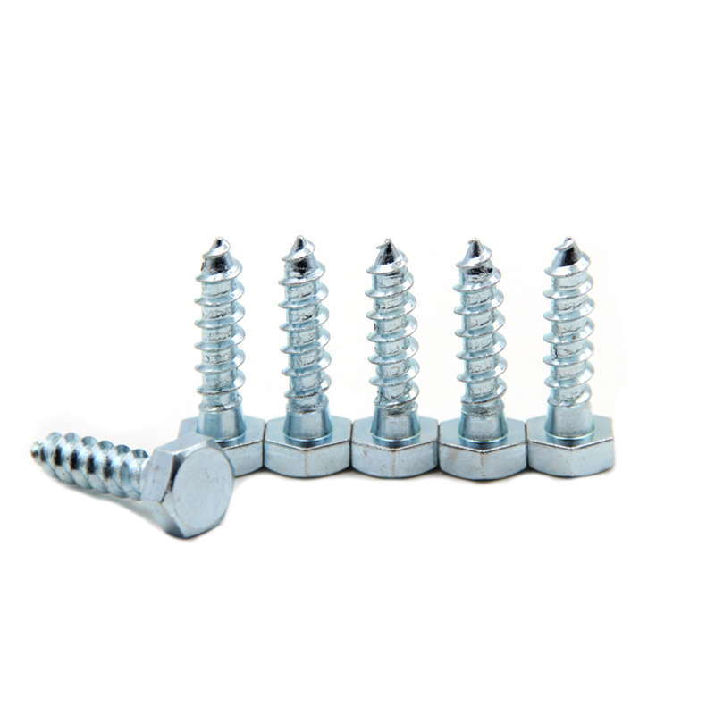 Stainless Steel SS304 SS316 SS201 Hexagon Head Hex | Hebei Chengyi